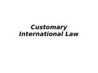 customary 4.pptx